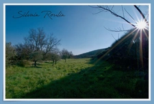 House for sale 8 rooms MALATAVERNE (26)