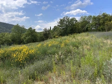 Land for Sale – 1,330 m² in Saint-Martin-d’Ardèche (07)