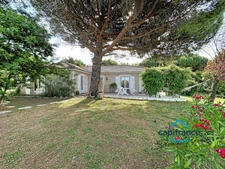 Maison T5 135 m2 avec piscine, terrain arboré et dépendance – environnement lavande et nature – Malataverne