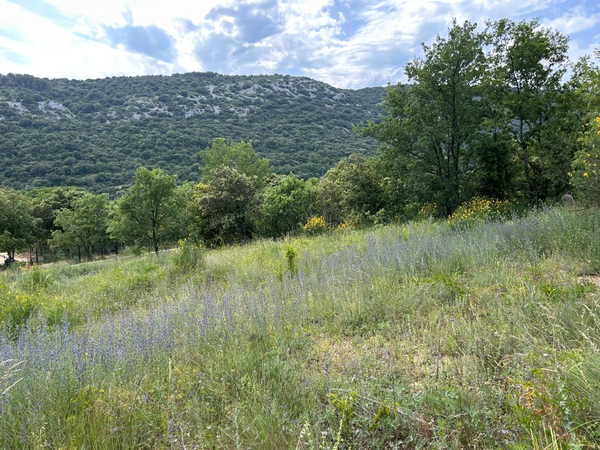 Terrain à vendre de 1 330 m². Saint-Martin-d'Ardèche (07)