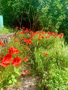 Caluire – Vassieux district: House with 115 m² of living space, 4 bedrooms, and 622 m² of land