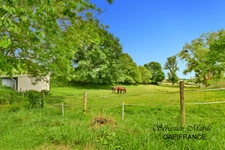 Belle propriété à vendre à SAINT AUBIN DE TERREGATTE (Maison, plusieurs dépendances, gîte) sur 2 hectares 