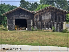 Maison à vendre 6 pièces BARBASTE (47) limite lot-et-Garonne/Landes 