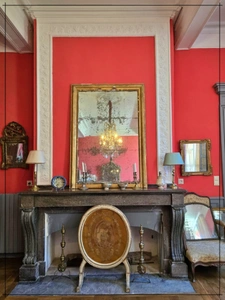 Magnifique maison située au coeur de la ville de Nérac, chargée d’histoire et d’architecture unique.