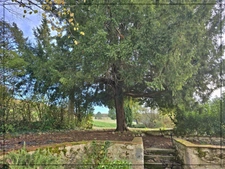 Maison à vendre 10 pièces BUZET SUR BAISE (47)