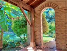 Maison de trois chambres + sous sol aménageable en rez-de-jardin sur 7400m² de jardin.