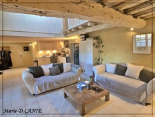 Maison à vendre 10 pièces BUZET SUR BAISE (47)