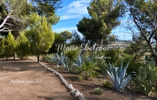 BÉDARRIDES – Maison à vendre 135 m² - piscine - 2 500 m² de terrain – 2 logements