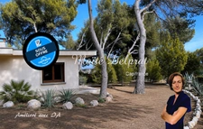 BÉDARRIDES – Maison à vendre 135 m² - piscine - 2 500 m² de terrain – 2 logements
