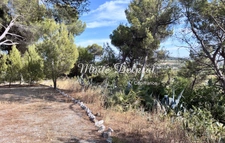 BÉDARRIDES – House for sale, 135 m², swimming pool, 2,500 m² of land – 2 dwellings