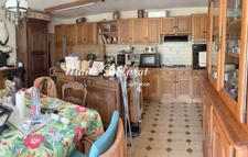Village house with garden, exceptional volumes and rental potential MALAUCENE (84)