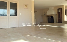 Propriete à vendre 7 pièces PROPIAC (26)