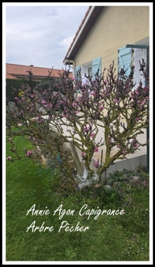 Maison à vendre 5 pièces VILLECOMTAL SUR ARROS (32)