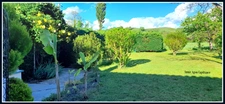 Dpt Gers (32), for sale house P5 - Land of 600