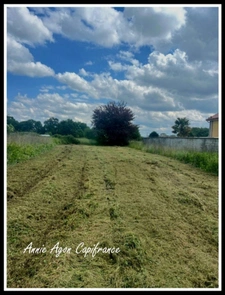 Terrain à vendre   (65)