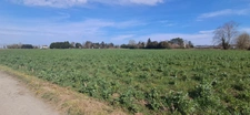 Terrain à vendre 9069 m2