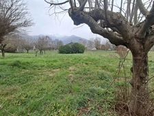 Maison CHAUM (31)