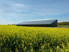 HANGAR DE STOCKAGE DE 1200 M² À LOUER À SEGREVILLE (31460) AVEC DEUX DOUBLE PORTES, ACCÈS POIDS LOURDS ET SOL ULTRA-RÉSISTANT