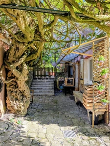Maison familiale atypique - DPE C - vaste terrain arboré