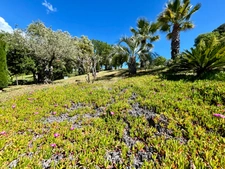 Dpt Var (83), à vendre FREJUS Tour de mare, maison P6 de 156 m² - Terrain de 1790 m² 