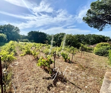 property for sale in SAINT TROPEZ (83)
