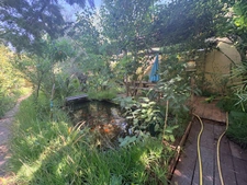 Maison de plus de 150 m² avec grand jardin arboré – Enorme potentiel – Fréjus