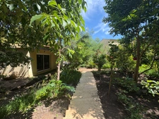 Charmante maisonnette de 35 m² et T3 de 70m2 avec jardin arboré de 650 m² – Fréjus