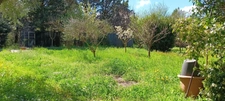 Maison à vendre 4 pièces TOURVES (83)