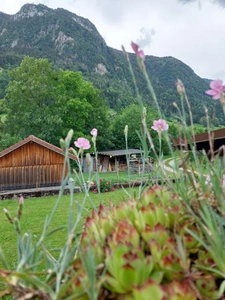 LE PETIT BORNAND LES GLIERES (74), À VENDRE – ENSEMBLE IMMOBILIER COMMERCIAL ET RÉSIDENTIEL