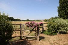 Maison de caractère – 9 pièces, 6 chambres - BRIIS SOUS FORGES (91)