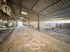 A vendre TRONCHY Hangar 1100 m²