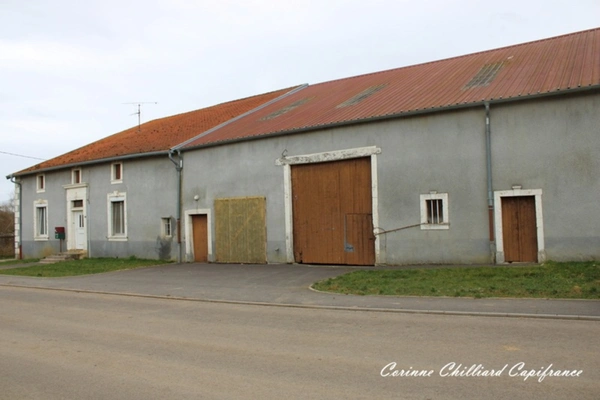 À Vendre : Maison de Village avec Grange et Jardin proche de Jarny (54800)