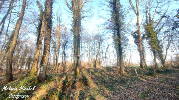 Terrain non constructible à vendre de 3 640,00 m² SYLVAINS LES MOULINS (27)