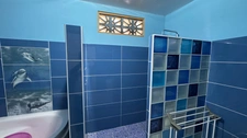 Maison à vendre 5 pièces  (973)