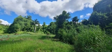 Dpt Guadeloupe (971), à vendre SAINT CLAUDE - Terrain de 15 220,00 m²