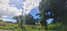 Dpt Guadeloupe (971), à vendre SAINT CLAUDE - Terrain de 15 220,00 m²