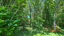 Terrain à vendre  SCAER (29) - Environ 4,5 Ha
