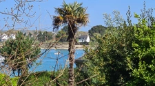 Maison à vendre Concarneau Le Cabellou, 6 Pièces - 185 m² - 1001 M² de Terrain.