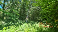 Terrain à vendre  SCAER (29) - Environ 4,5 Ha