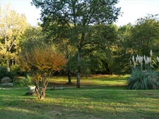 Propriete à vendre 11 pièces LE BUISSON DE CADOUIN (24)