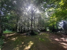 Maison à vendre 4 pièces PLOGONNEC (29180)- Surface habitable 131.82 m2 -parcelle de 13963m2 + bois de 9018m2- Dépendances.