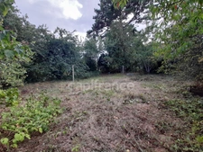 Terrain à vendre de 876,00 m² dont 181 m2 de chemin d'accès à PLOGONNEC (29180)-Le Croëzou