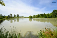 Propriete à vendre 11 pièces VERNOU EN SOLOGNE (41)