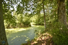 Maison à vendre 2 pièces SOINGS EN SOLOGNE (41)