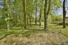 Maison à vendre 6 pièces PRUNIERS EN SOLOGNE (41)