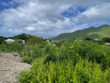 TERRAIN CONSTRUCTIBLE À VENDRE AVEC VUE MER ET MARINA D'ANSE MARCEL, SAINT MARTIN (97150)