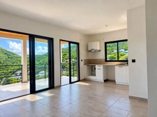 APPARTEMENT 1 CHAMBRE AVEC UNE SPECTACULAIRE VUE MER ET MARINA DANS RÉSIDENCE NEUVE À ANSE MARCEL, SAINT-MARTIN (97150) 