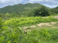TERRAIN CONSTRUCTIBLE À VENDRE AVEC VUE MER ET MARINA D'ANSE MARCEL, SAINT MARTIN (97150)