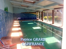 Property for sale: 11 rooms and 9 furnished chalets