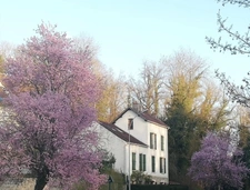 Maison à vendre 7 pièces MONTGEROULT (95)